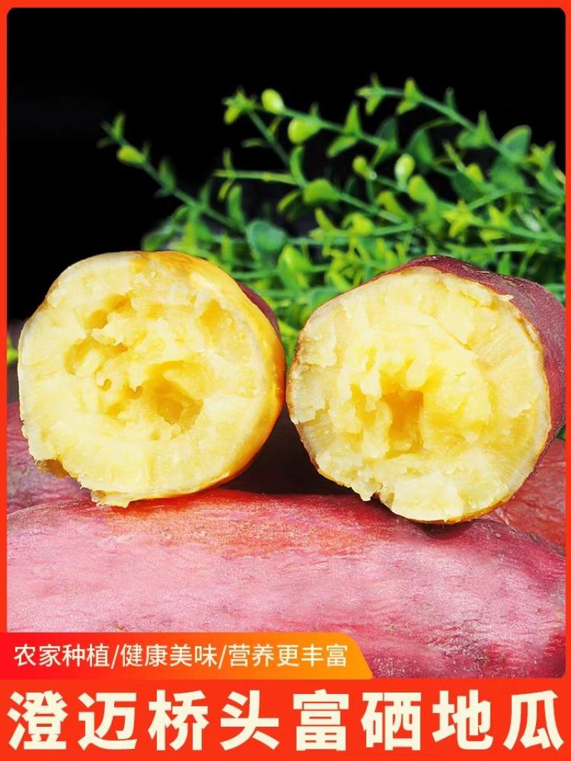 一件代发海南桥头地瓜