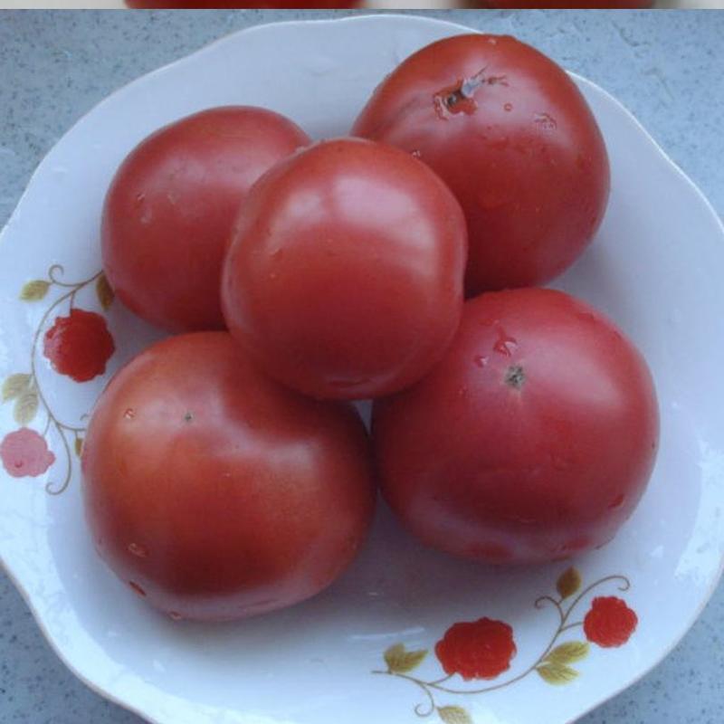 西红柿大红西红柿产地一手货源，无中间商赚差价