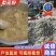 河北梨花粉，雪梨花粉，鸭梨花粉，苹果花粉，支持实地考察