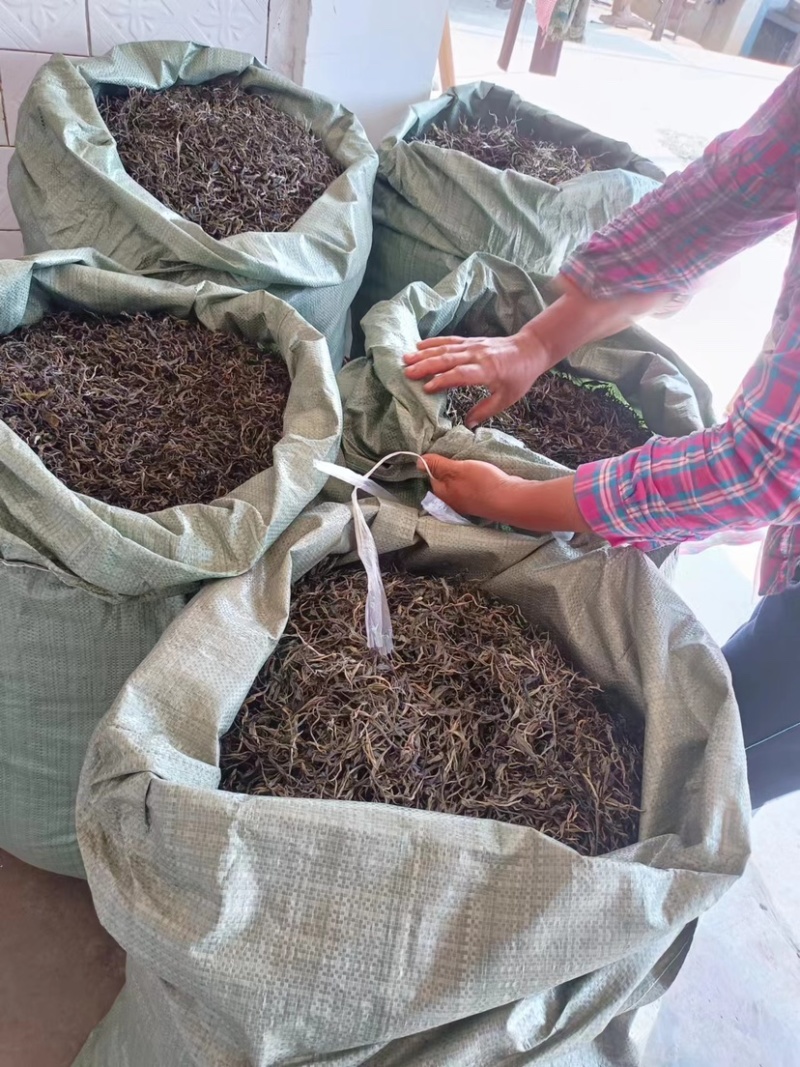 批发零售普洱茶春茶白茶，黑茶，台地茶和古树茶，自家茶地