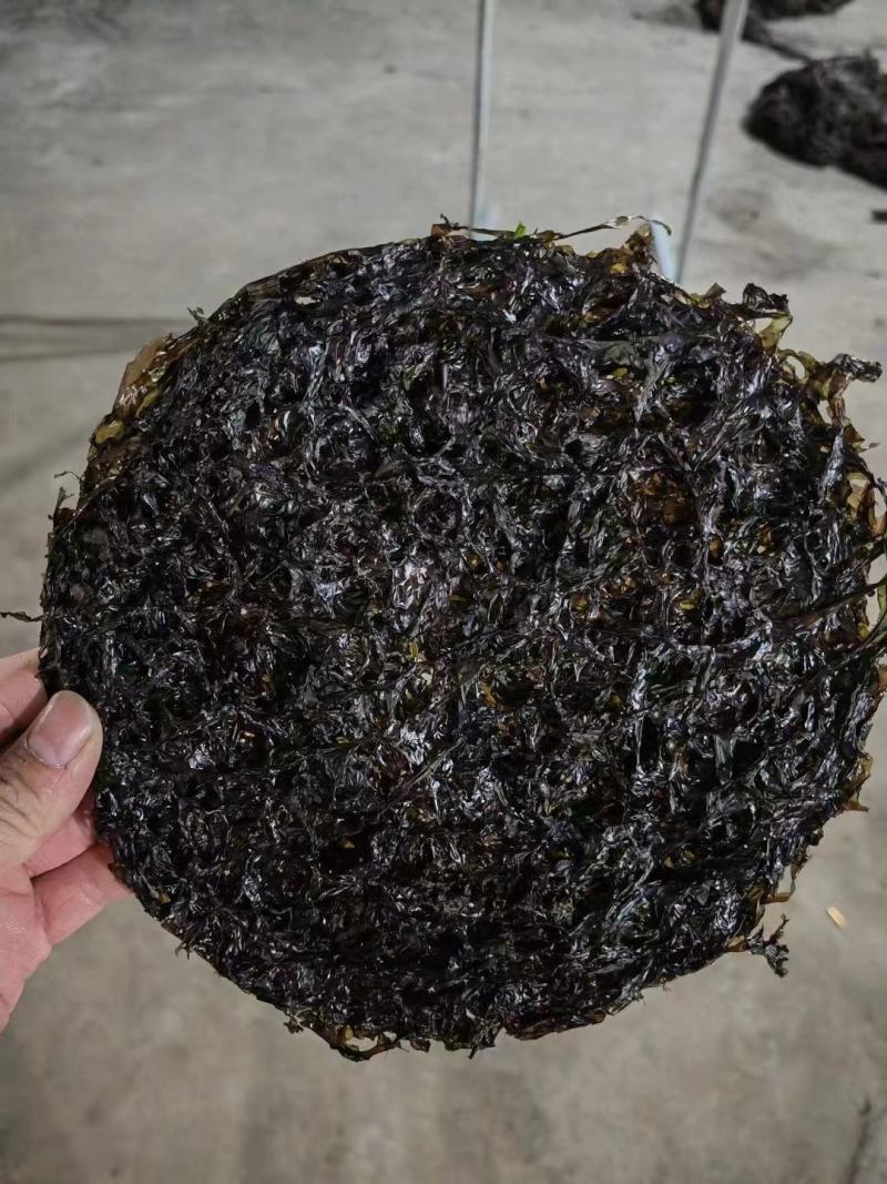 圆饼紫菜无沙无泥厂家直供一手货源欢迎致电
