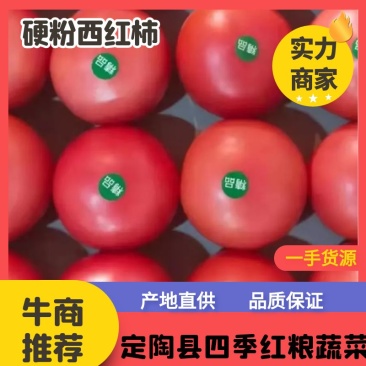 《老兵菜站》硬粉西红柿/产地直发/一手货源/品质保证
