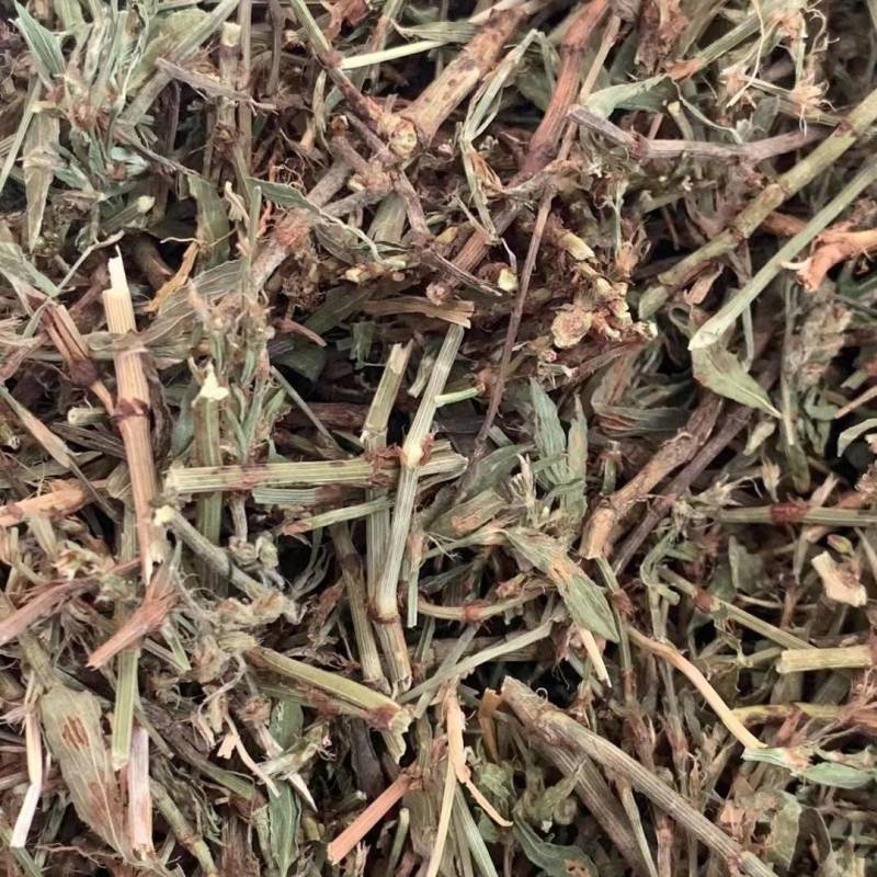萹蓄草【包邮】三斤起发货可批量可零售量大从优