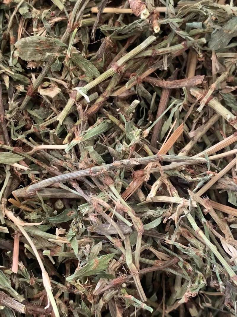 萹蓄草【包邮】三斤起发货可批量可零售量大从优