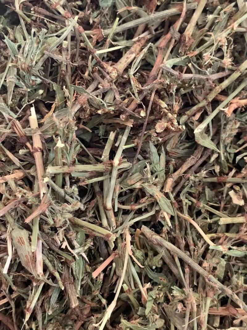 萹蓄草【包邮】三斤起发货可批量可零售量大从优