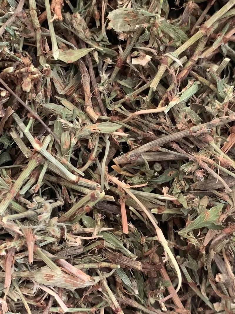 萹蓄草【包邮】三斤起发货可批量可零售量大从优