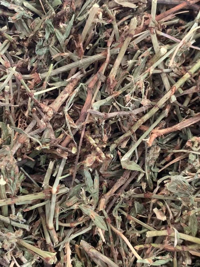 萹蓄草【包邮】三斤起发货可批量可零售量大从优