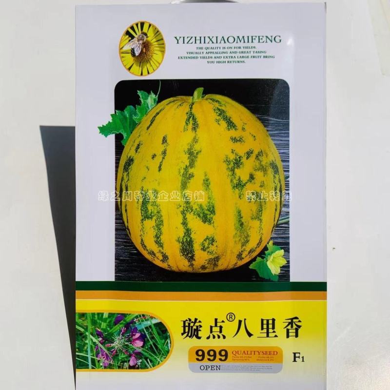 香味浓杂交八里香甜瓜种子薄皮香瓜种子高糖优质丰产超甜