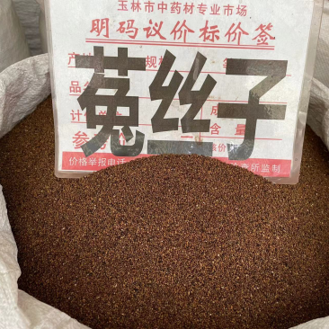 菟丝子批发零售中药材一斤起发量大从优一件代发
