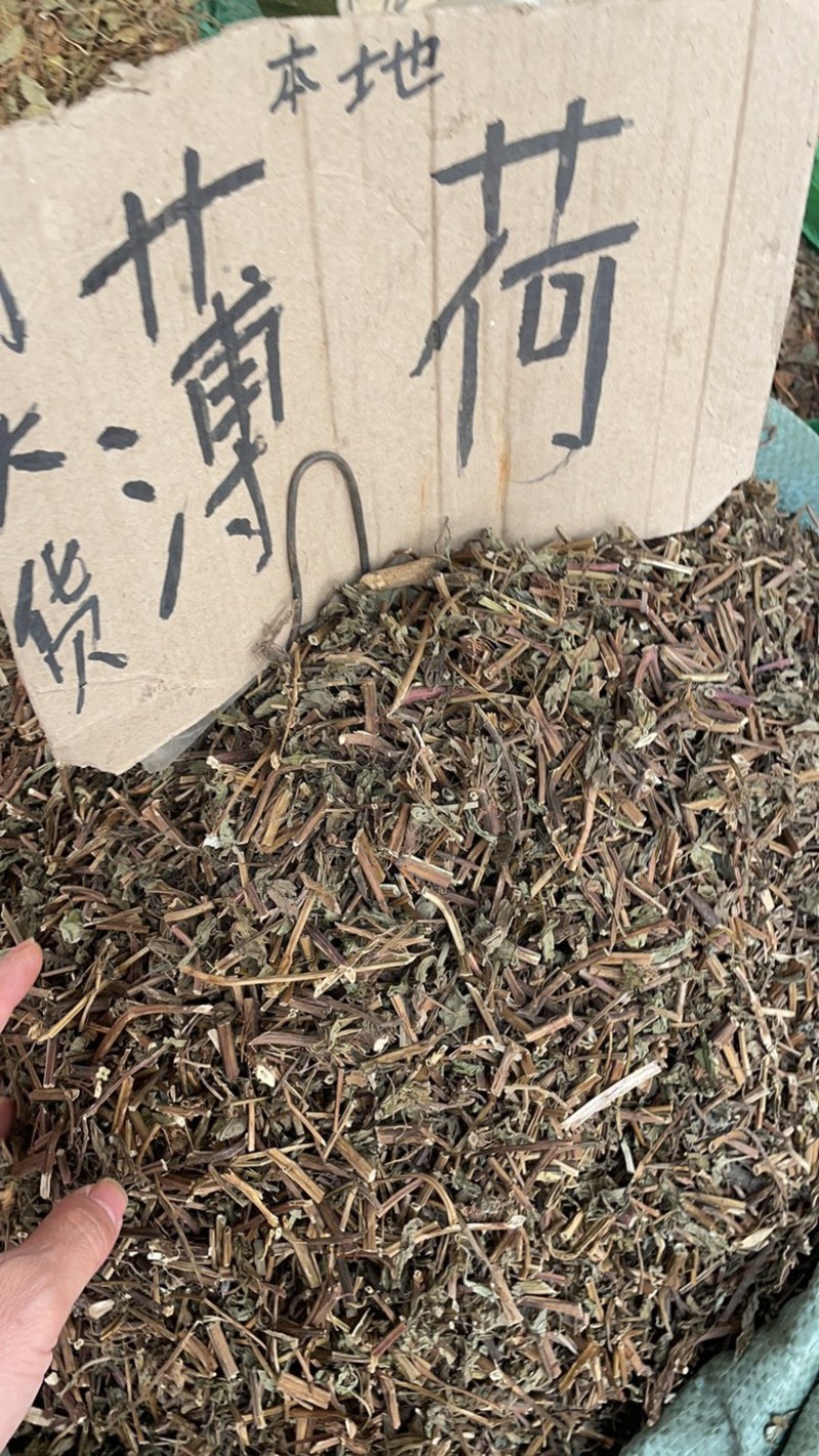 薄荷批发零售中药材一斤起发量大从优一件代发
