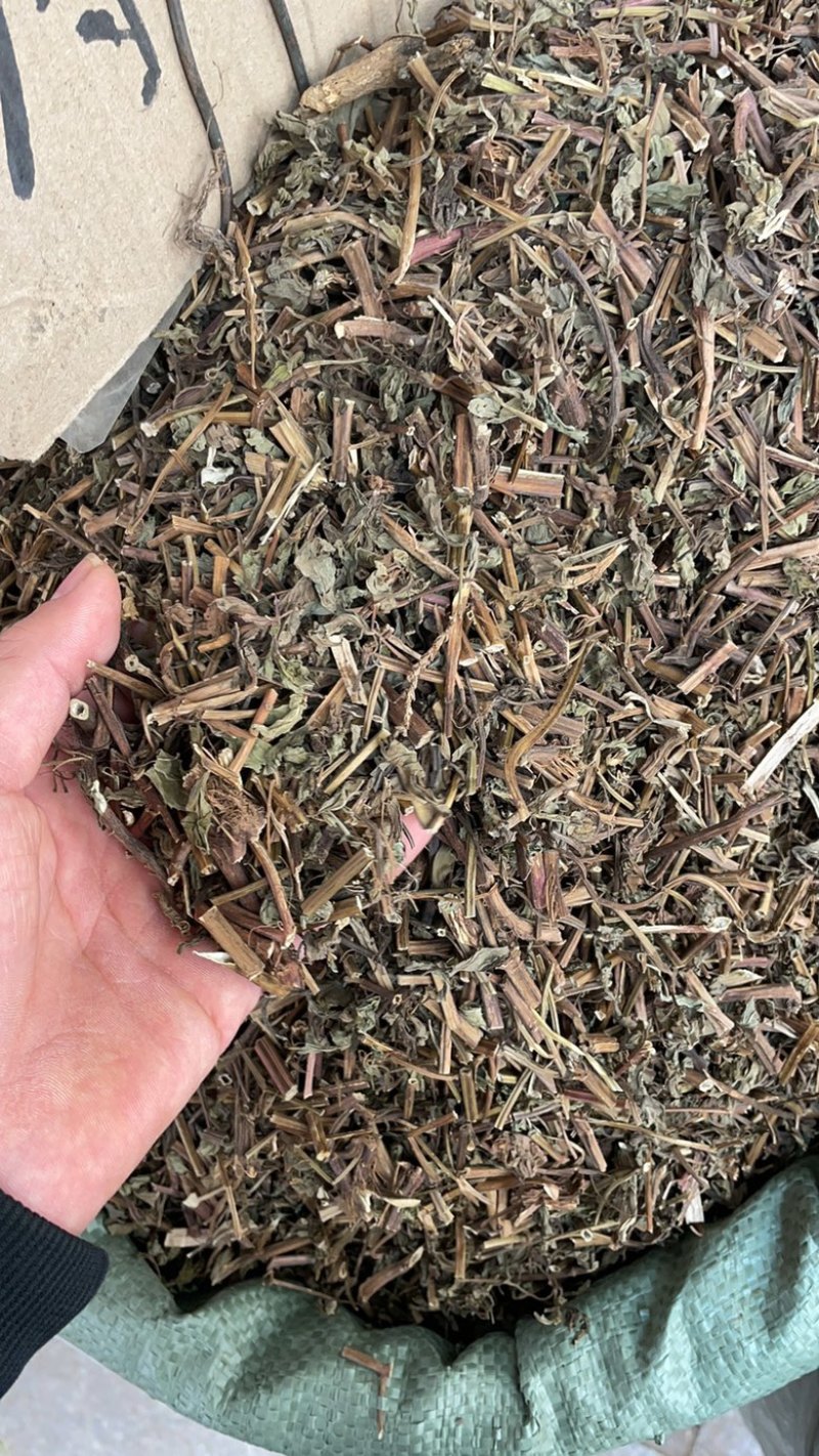 薄荷批发零售中药材一斤起发量大从优一件代发