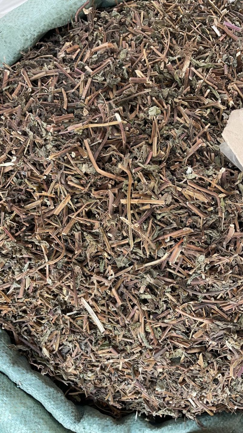 薄荷批发零售中药材一斤起发量大从优一件代发