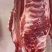 新鲜排骨、瘦肉、龙骨、筒骨，广州白云区批发