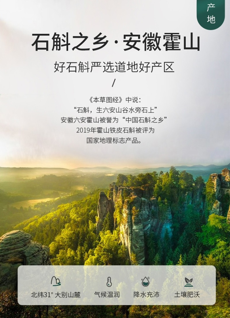 霍山铁皮石斛自产自销-不满意退货-顺丰包邮+一件代发