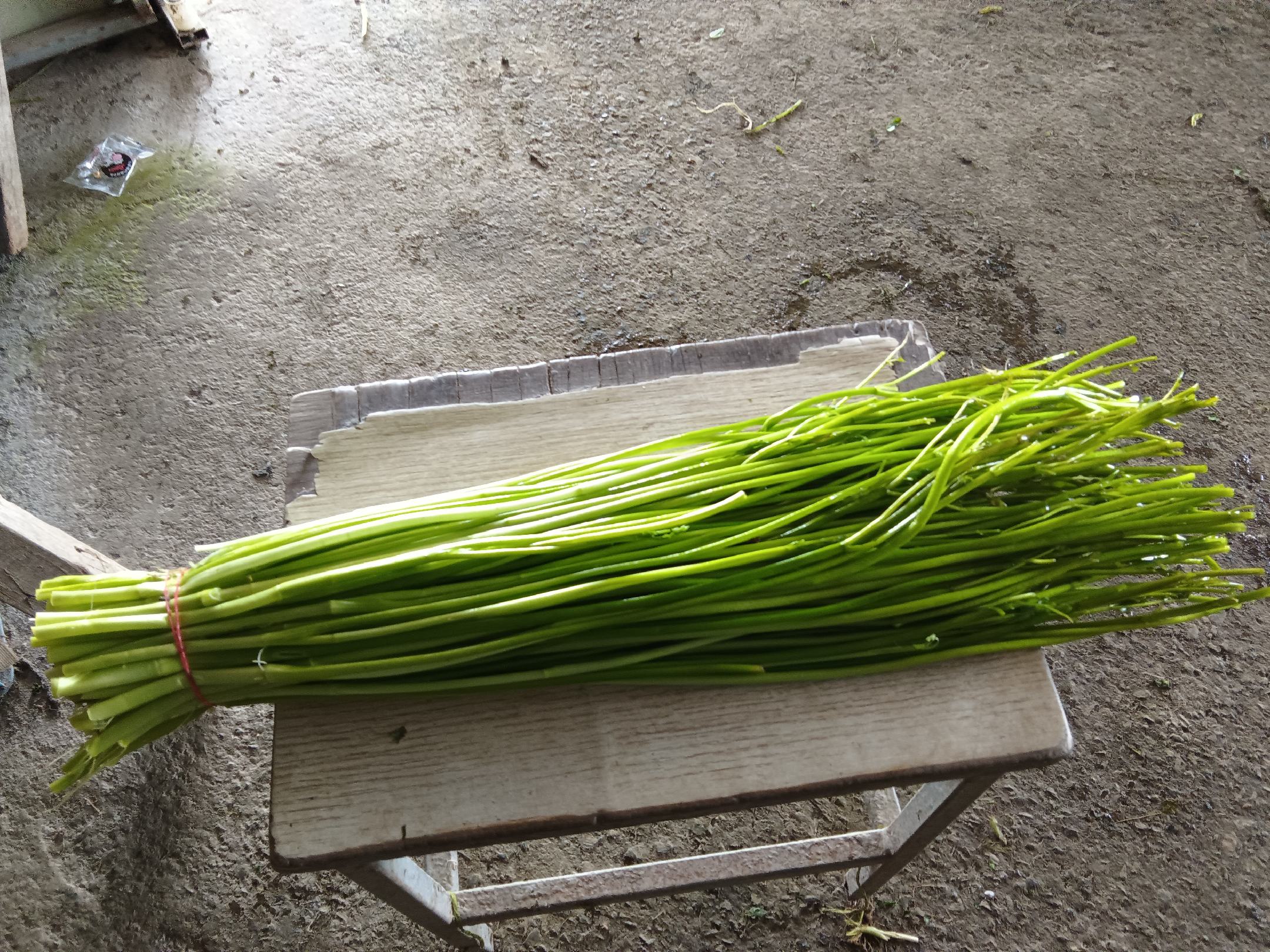 芹菜与莴苣新鲜摆盘图