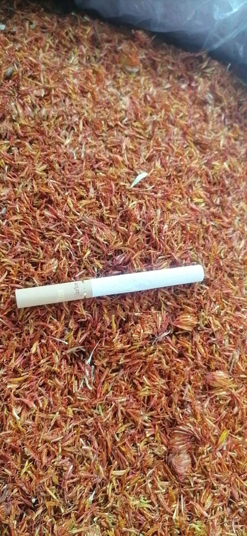 红花云南红花
