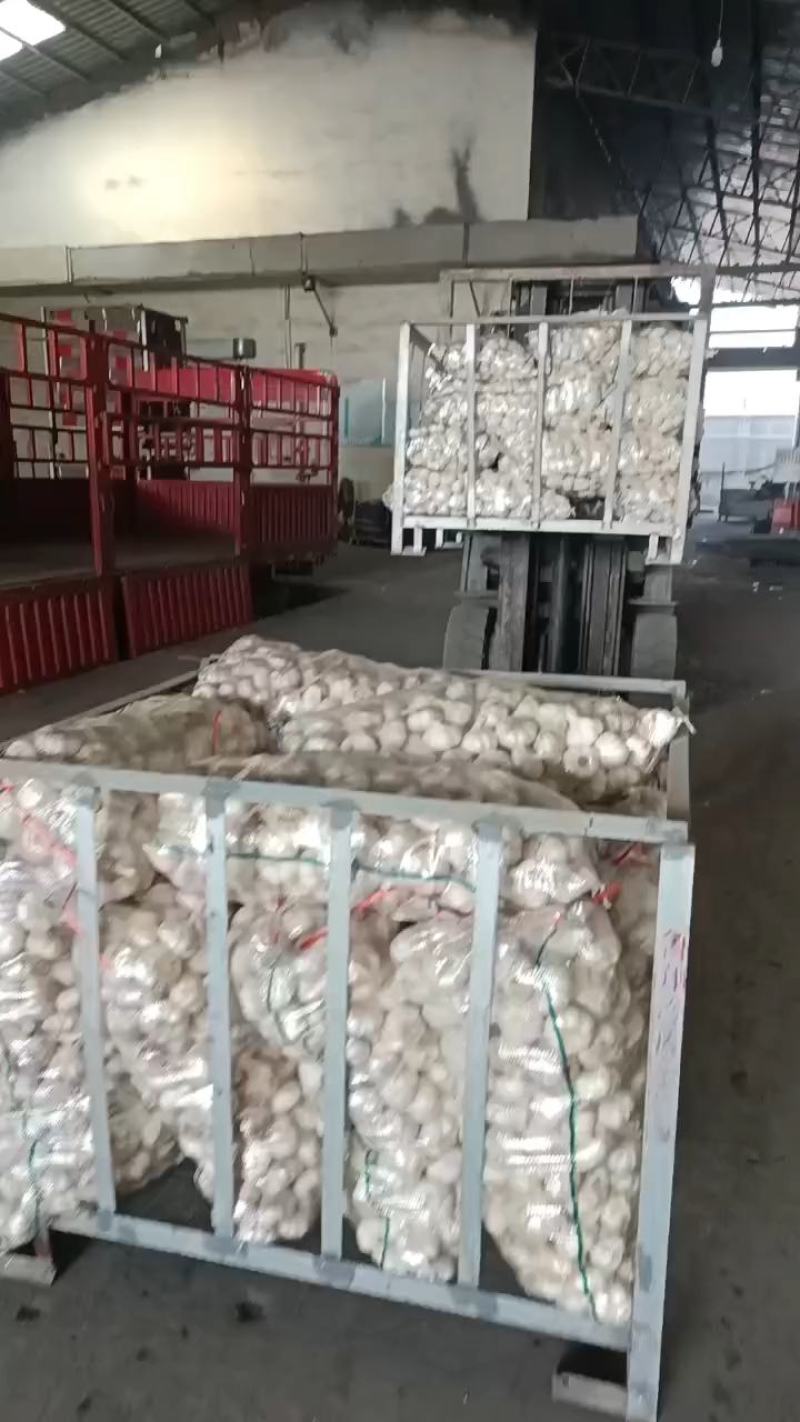大蒜，代加工，代收购，代办。山东省临沂市平邑县全财蒜业