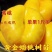 油蟠桃树苗奶油红蟠油蟠毛蟠南北方种植现挖现发包成活