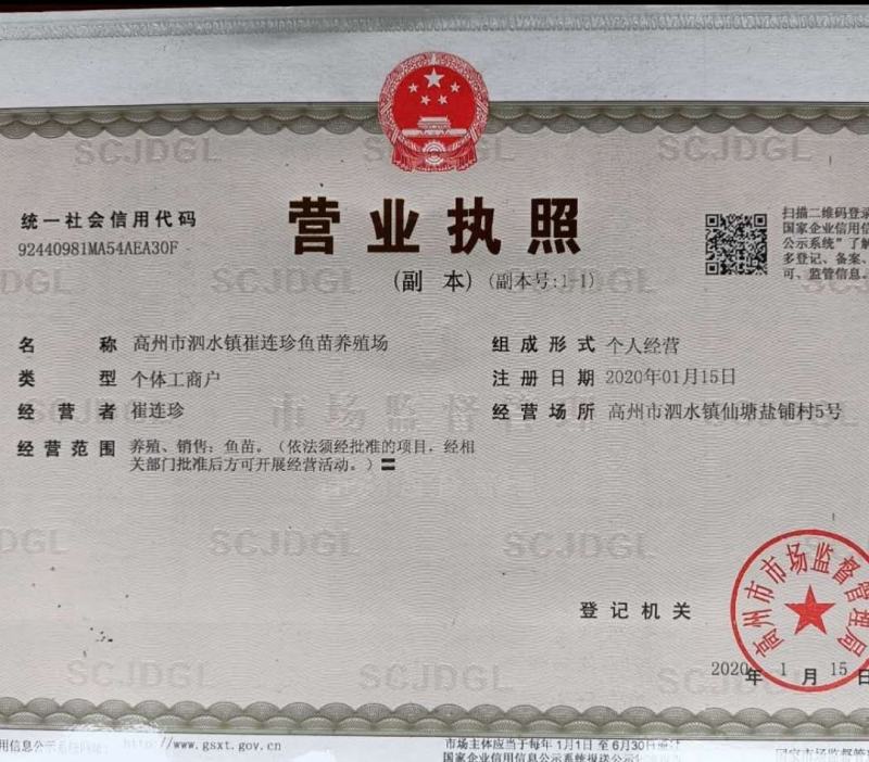 优质快大型鲫鱼水花，抗病能力强，抗班子虫指虫，欢迎来咨