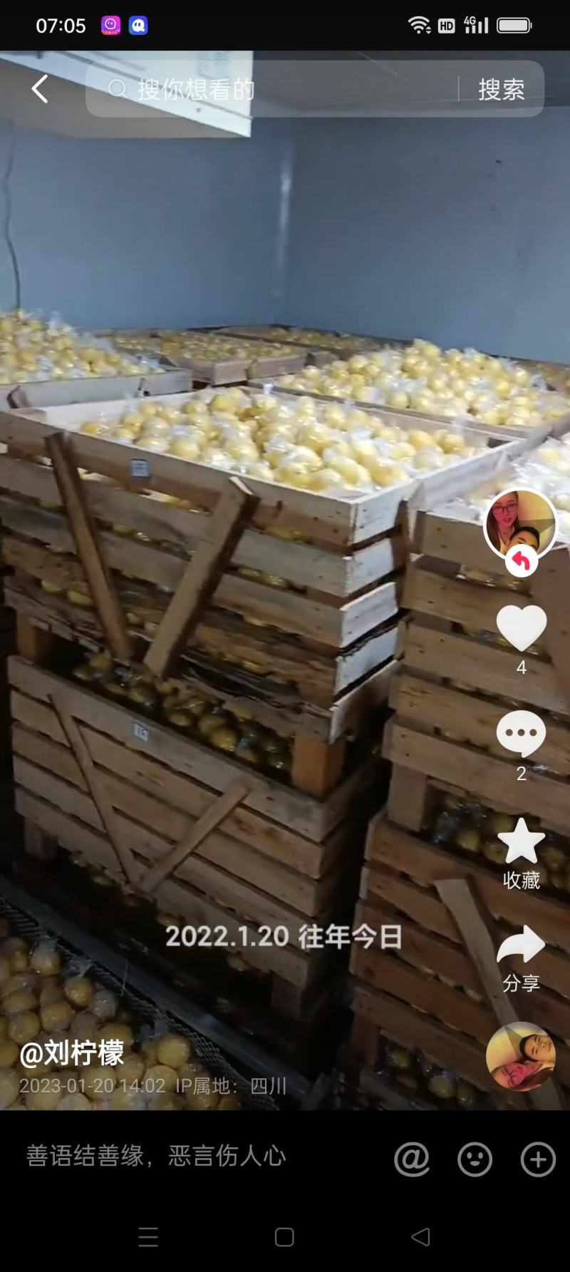 安岳县尤力克柠檬，皮亮多汁，老少皆宜。理想的保健品。