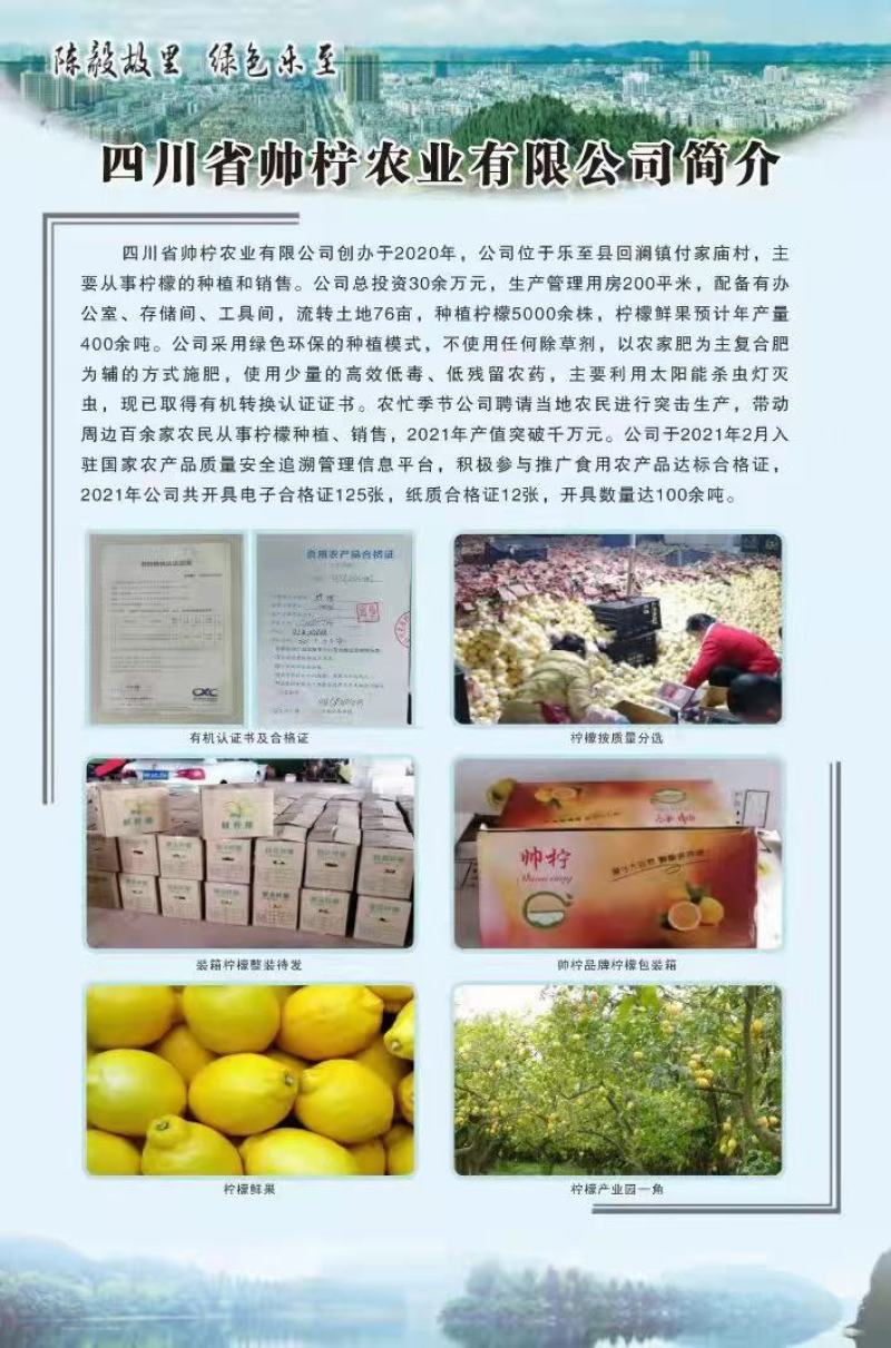安岳县尤力克柠檬，皮亮多汁，老少皆宜。理想的保健品。