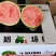 早春红玉牛奶西瓜新鲜上市安徽产地直供，口感好，糖度高，开发票