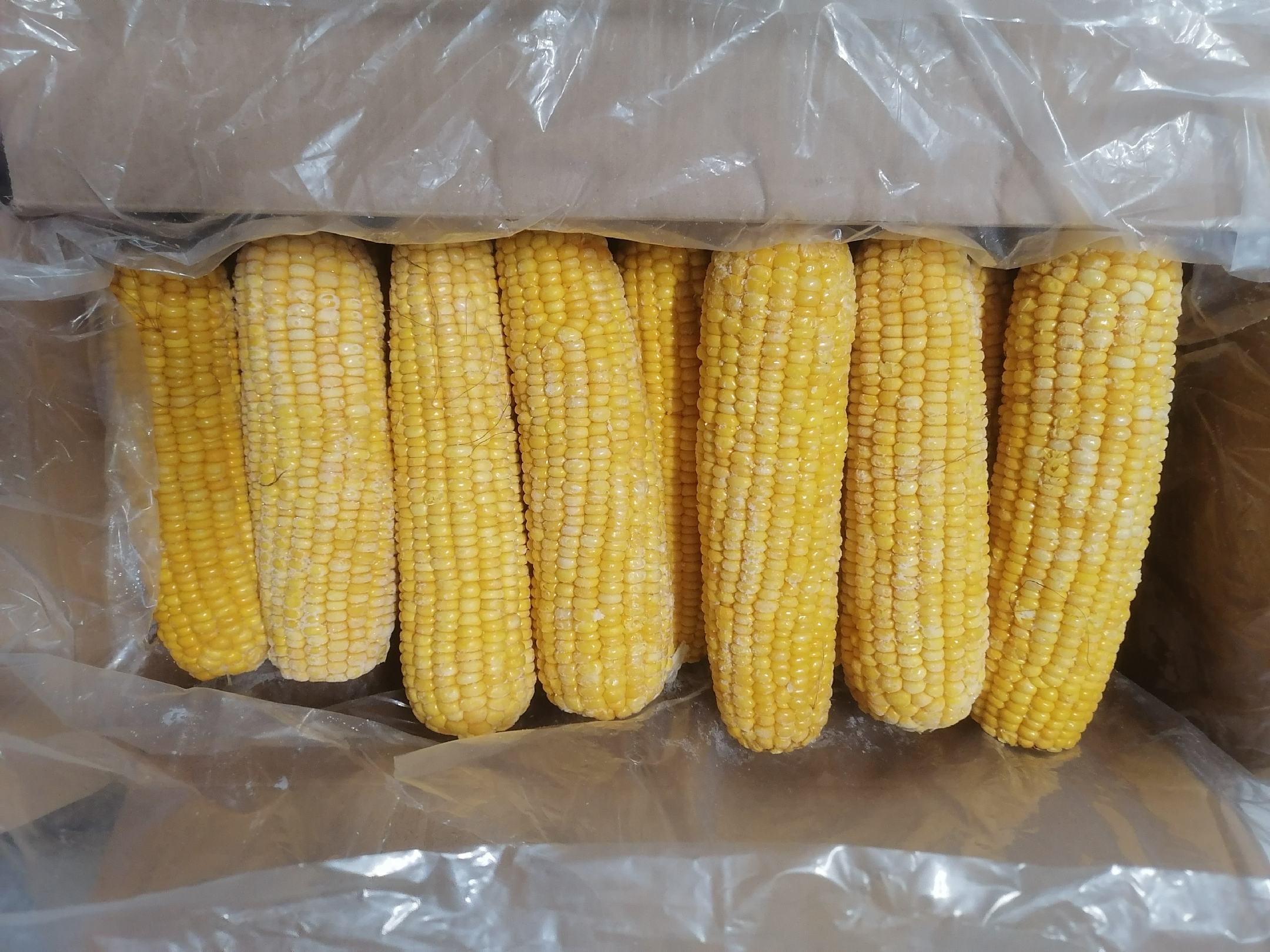 玉米粒沙拉成品图