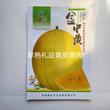 金中黄黄皮黄瓤礼品西瓜种子品质好口感好抗病经济效益高