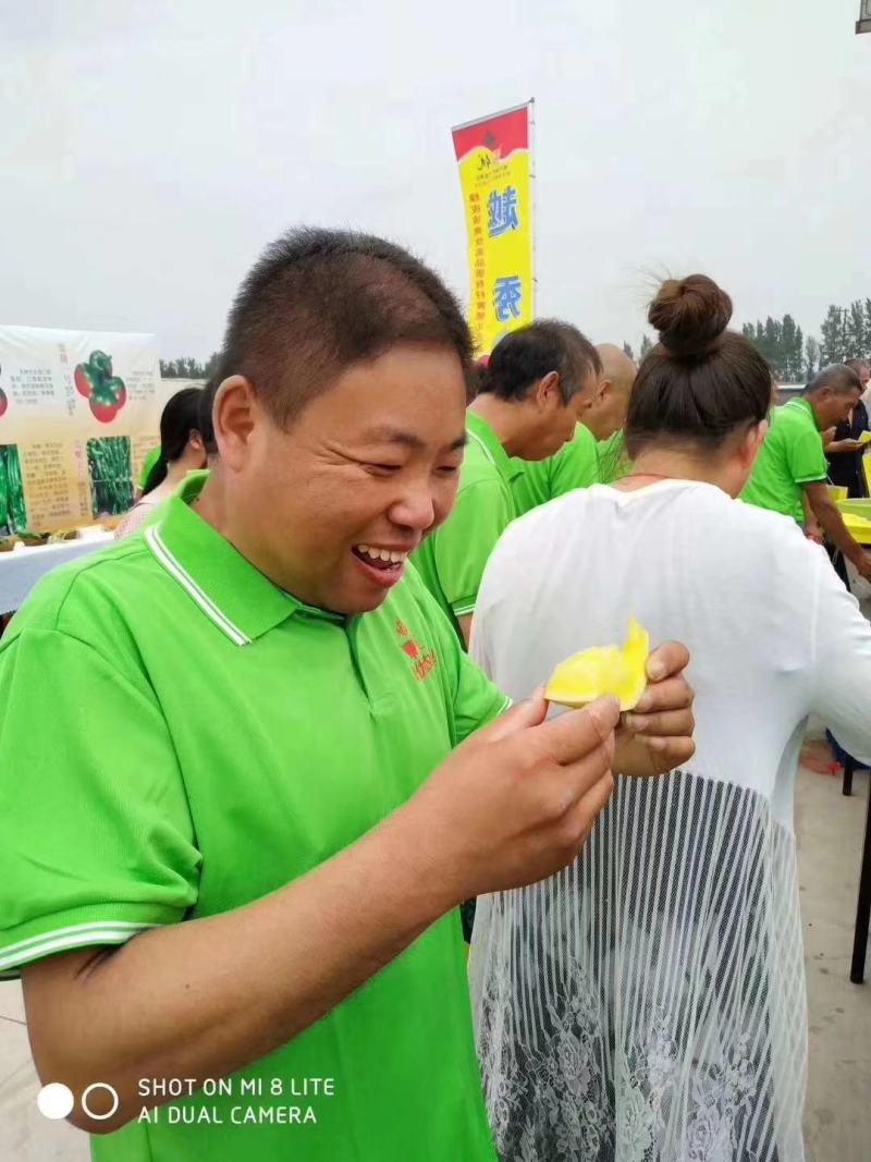 金中黄黄皮黄瓤礼品西瓜种子品质好口感好抗病经济效益高