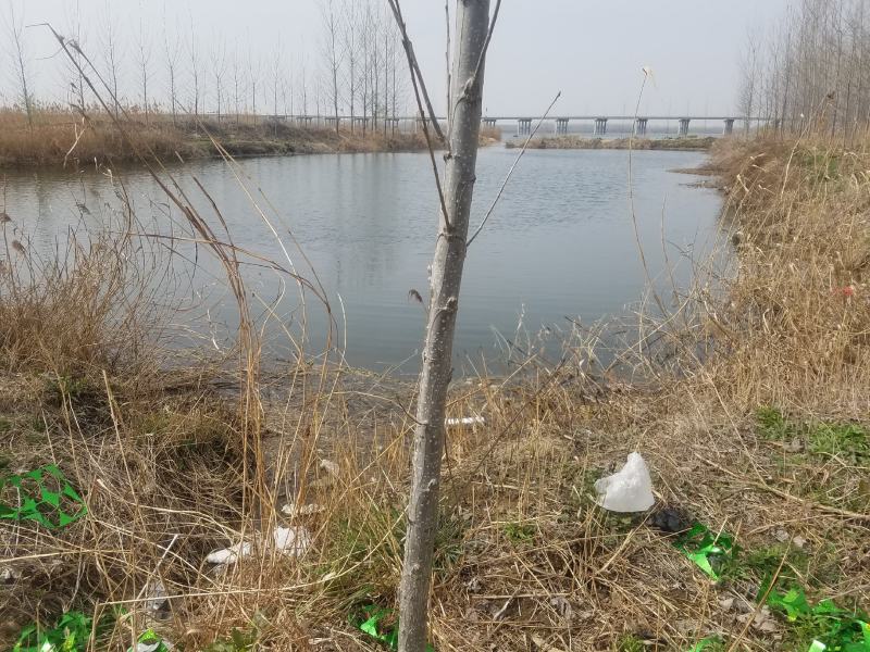 鱼塘出租