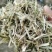【优选】大量批发优质花生秧草料，无土无膜无霉变，质优价廉