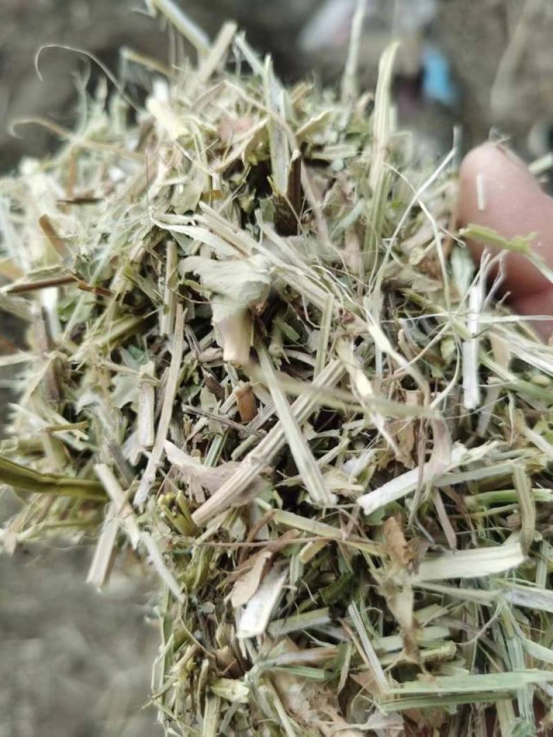 【优选】大量批发优质花生秧草料，无土无膜无霉变，质优价廉