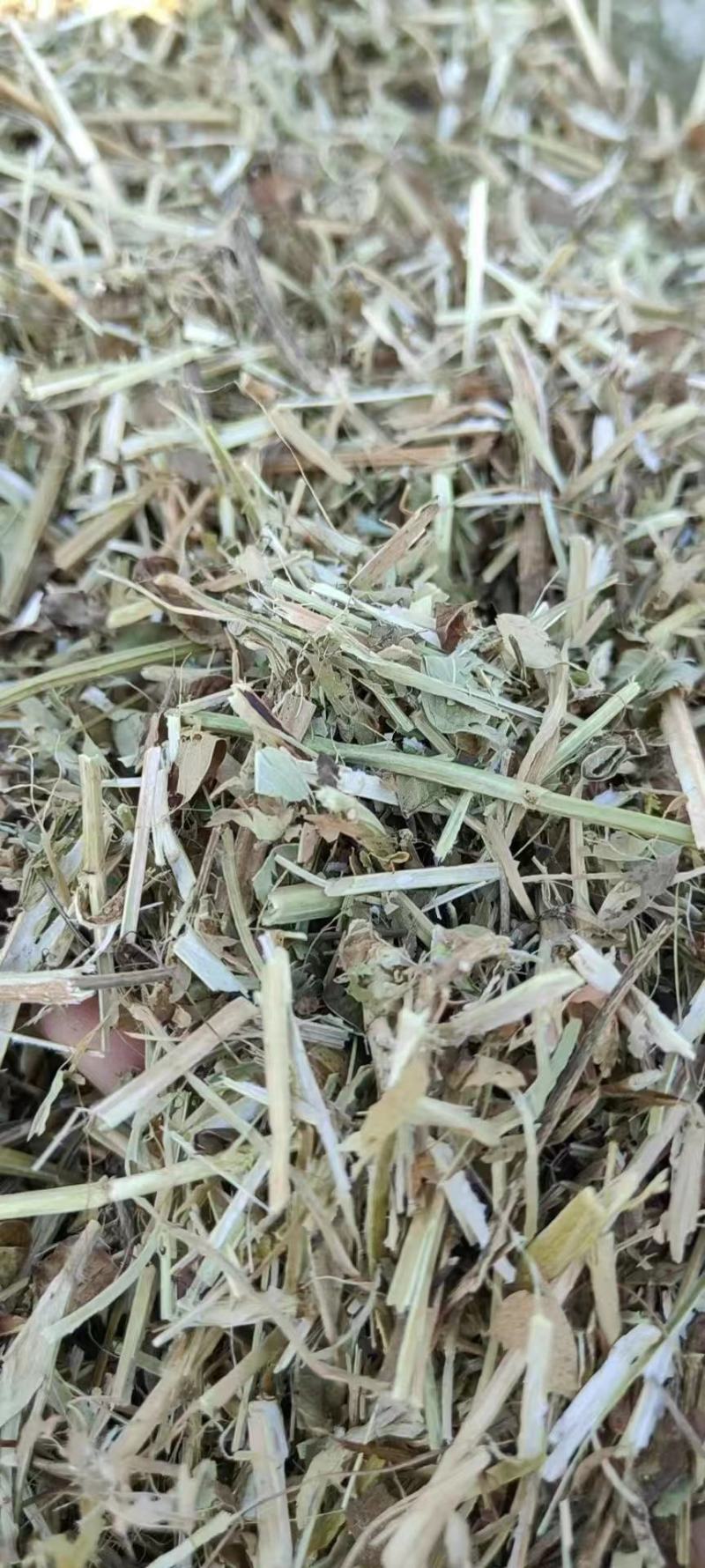 【优选】大量批发优质花生秧草料，无土无膜无霉变，质优价廉