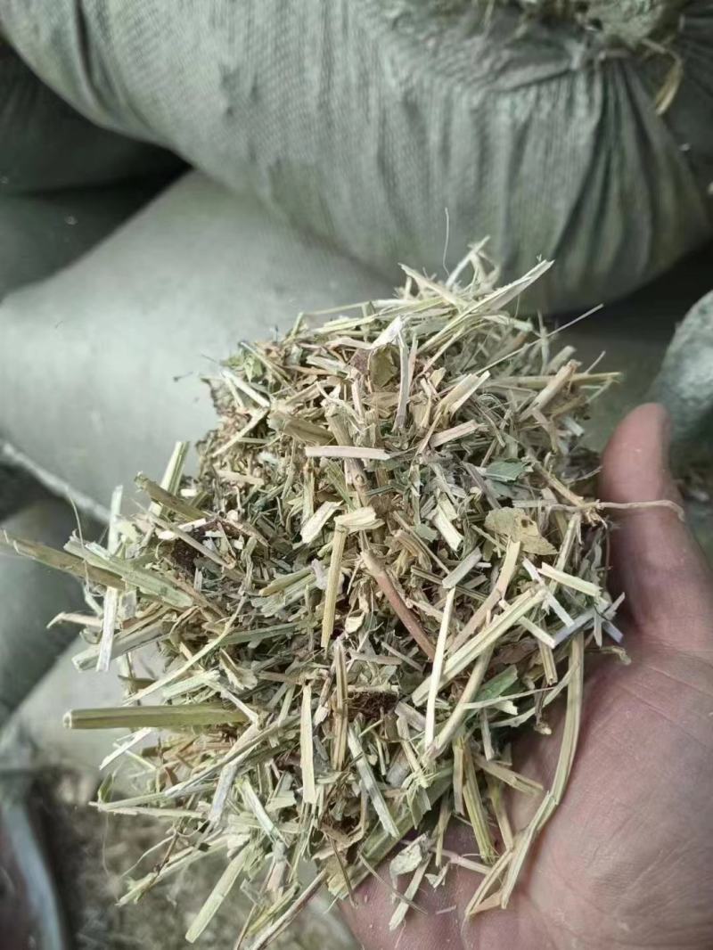 【优选】大量批发优质花生秧草料，无土无膜无霉变，质优价廉