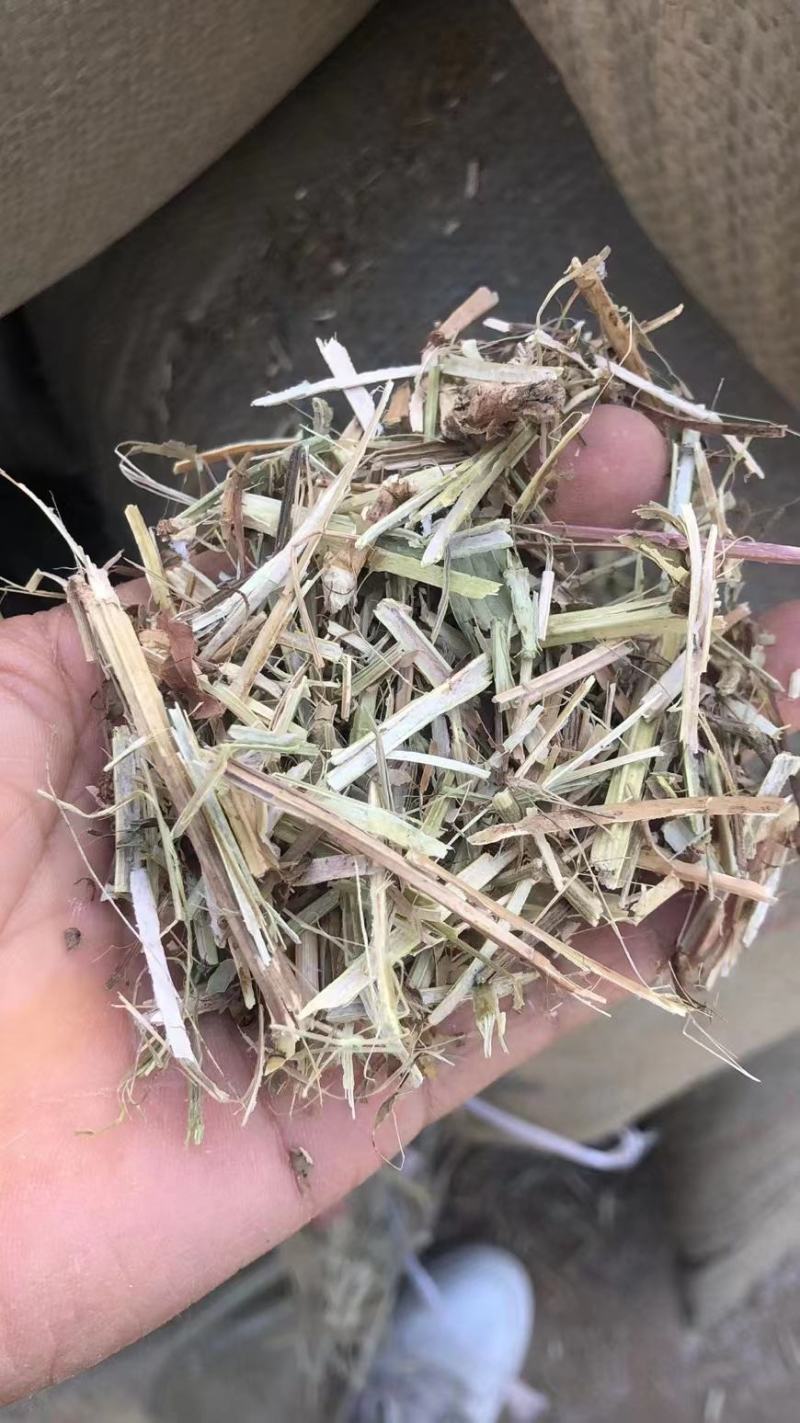 【优选】大量批发优质花生秧草料，无土无膜无霉变，质优价廉