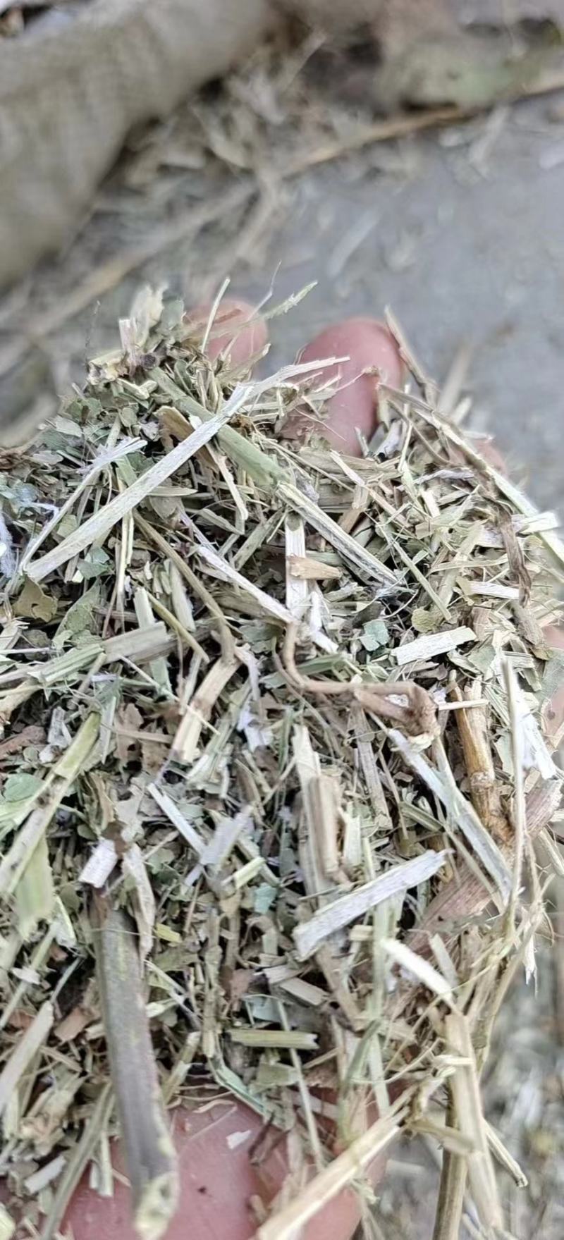 【优选】大量批发优质花生秧草料，无土无膜无霉变，质优价廉