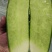 山东袋，箱装水果萝卜菜萝卜精品货大量，无康无烂电商超市！