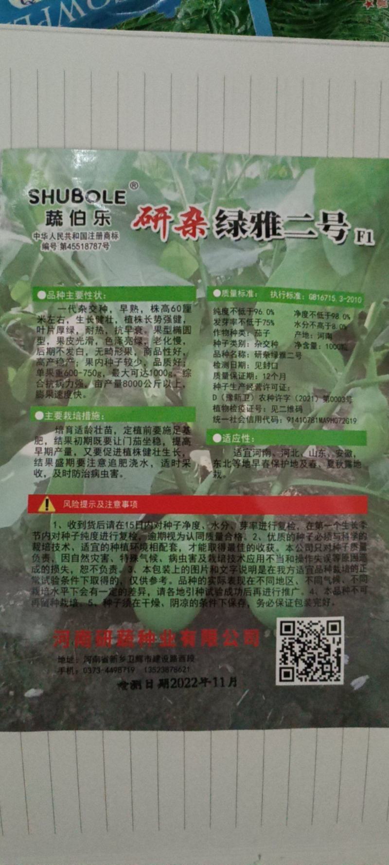 早熟长势强耐热耐老化颜色亮绿不发白商品性好高产稳产杂交种