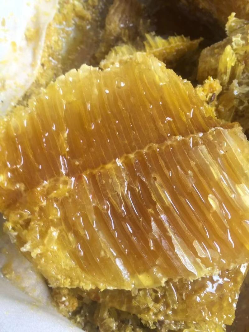贵州岩蜂蜜野生土蜂蜜涯蜜排蜂蜜高山采摘欢迎咨询!