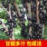 嘉宝果