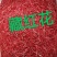 国产藏红花高品质好货常年供应批发零售我是安徽亳州种植基地