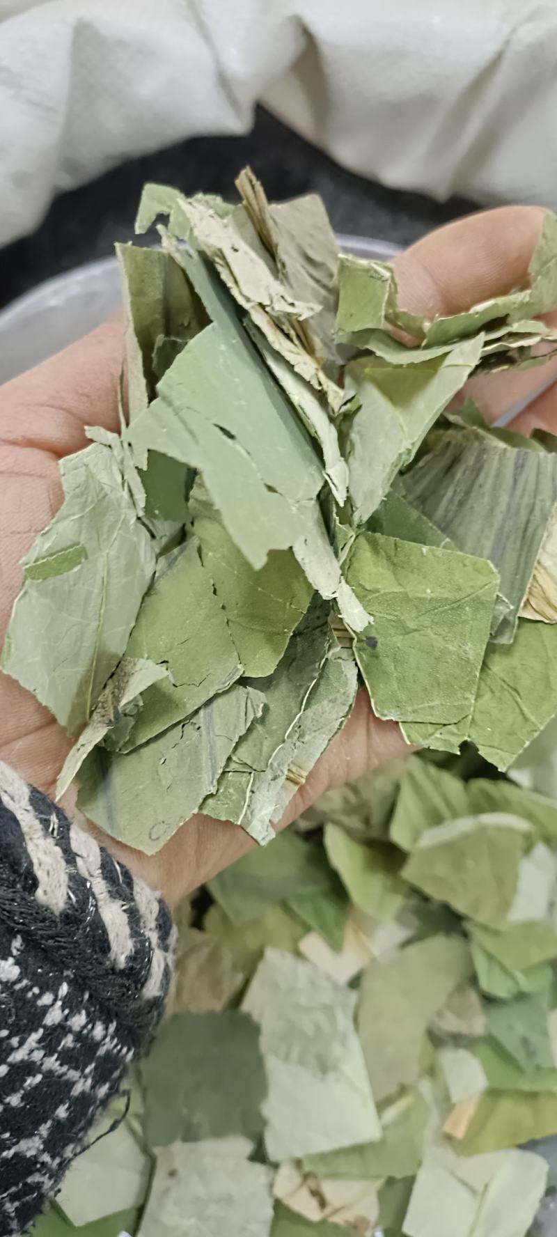 荷叶，中药材批发，货无杂质无硫，足斤足量，欢迎各位老板