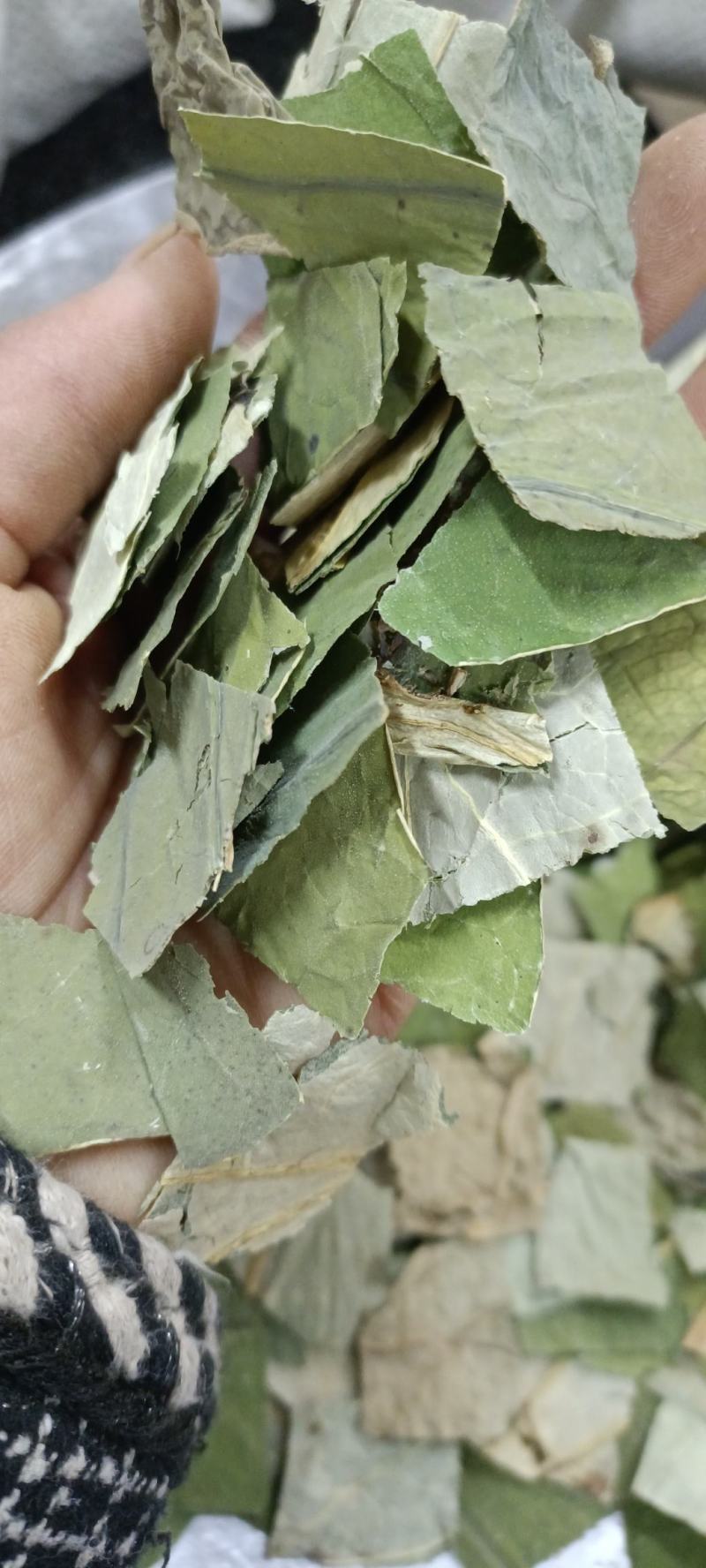 荷叶，中药材批发，货无杂质无硫，足斤足量，欢迎各位老板