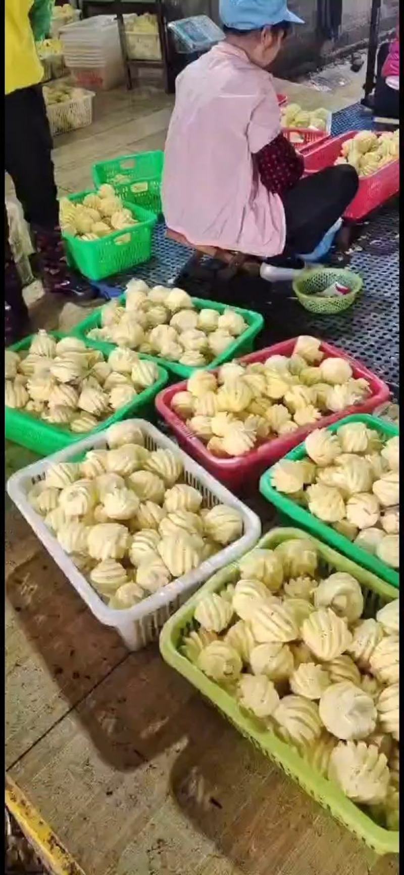 湛江徐闻新鲜香水小菠萝大量上市中，大量供应电商超市市场！