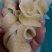 海鱼肠