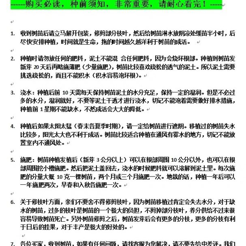 番石榴树苗