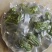精品贡菜干，云南大理高原贡菜！精品10公分段定制