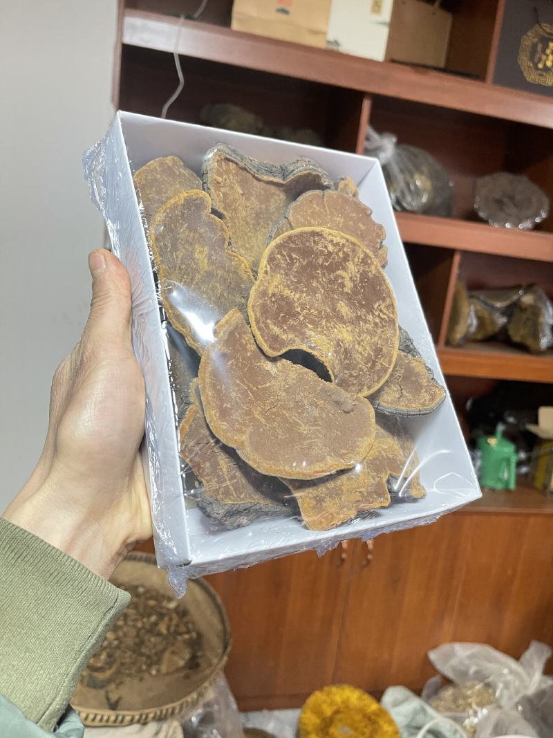 桑黄，野生桑黄，朝鲜桑黄今年新货，品种非常好