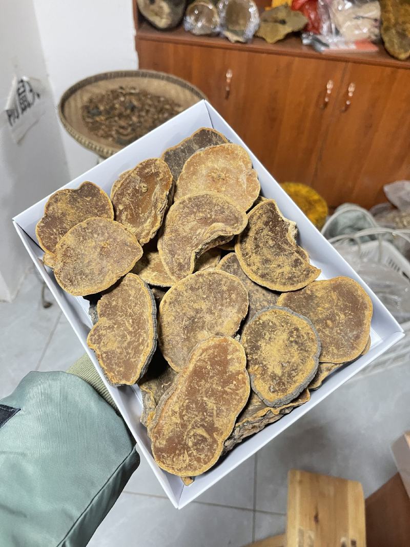 桑黄，野生桑黄，朝鲜桑黄今年新货，品种非常好