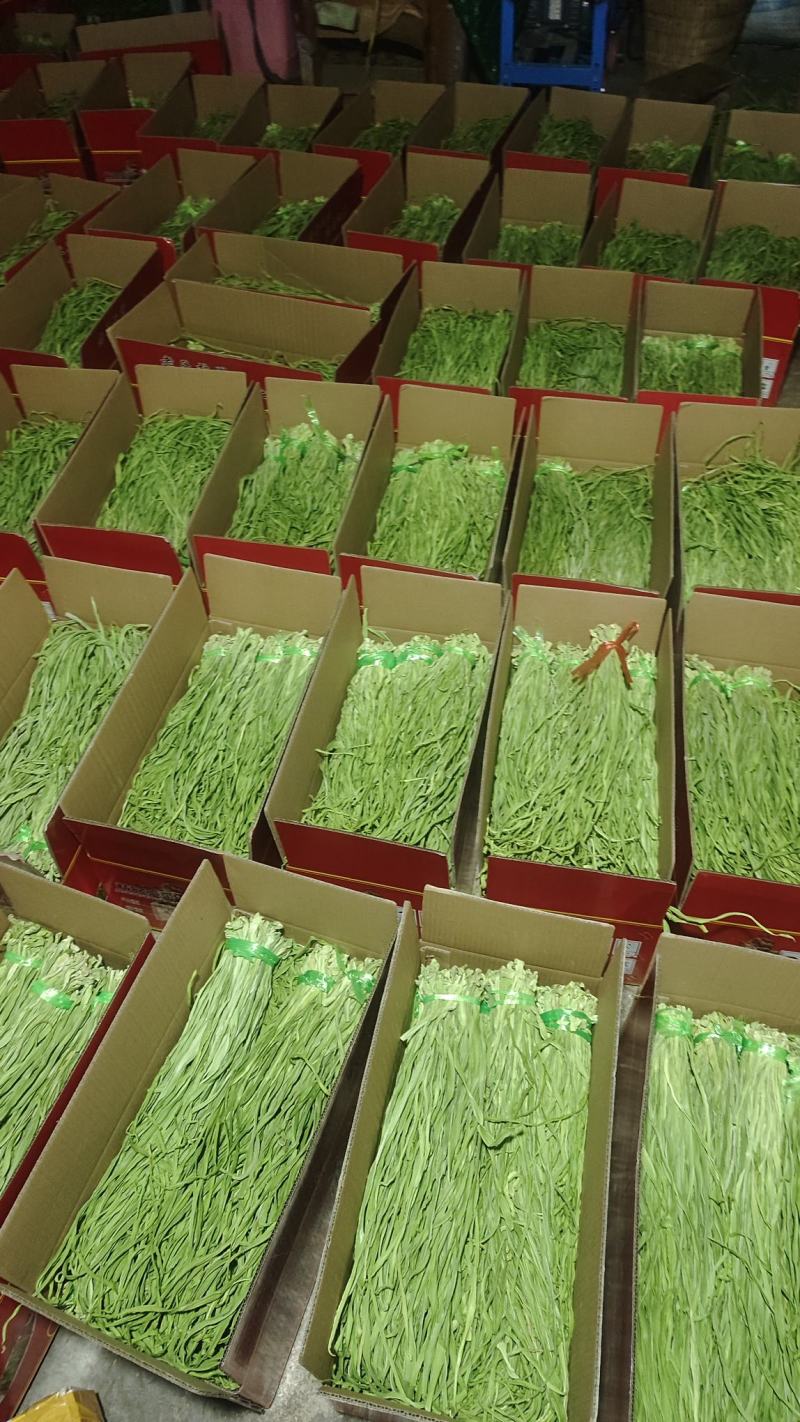 云南贡菜精选小包装100克9.9包邮，一家4人吃两餐的量